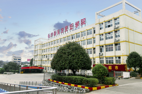 �N���dȤ��Ӗ(x��n)�ٳɰ�