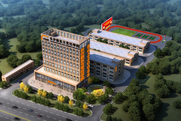 �V�ݏN�����Y�����Xһ��(g��)��