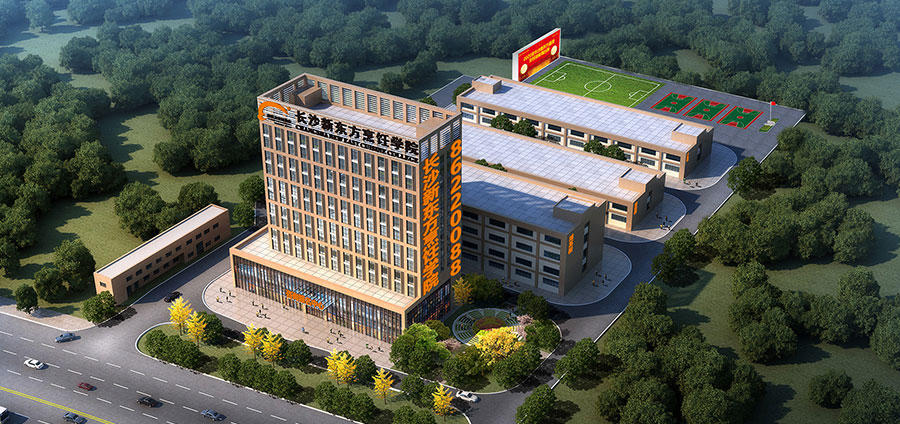 新世紀廚師應具備的職業(yè)素質觀